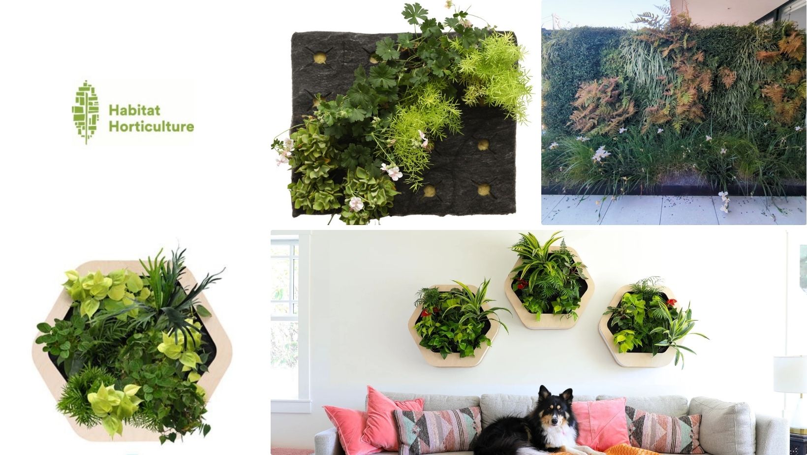 Habitat Horticulture