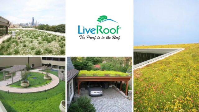 Live Roof