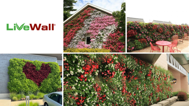 LiveWall