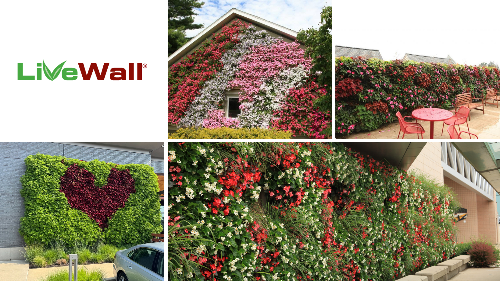 LiveWall