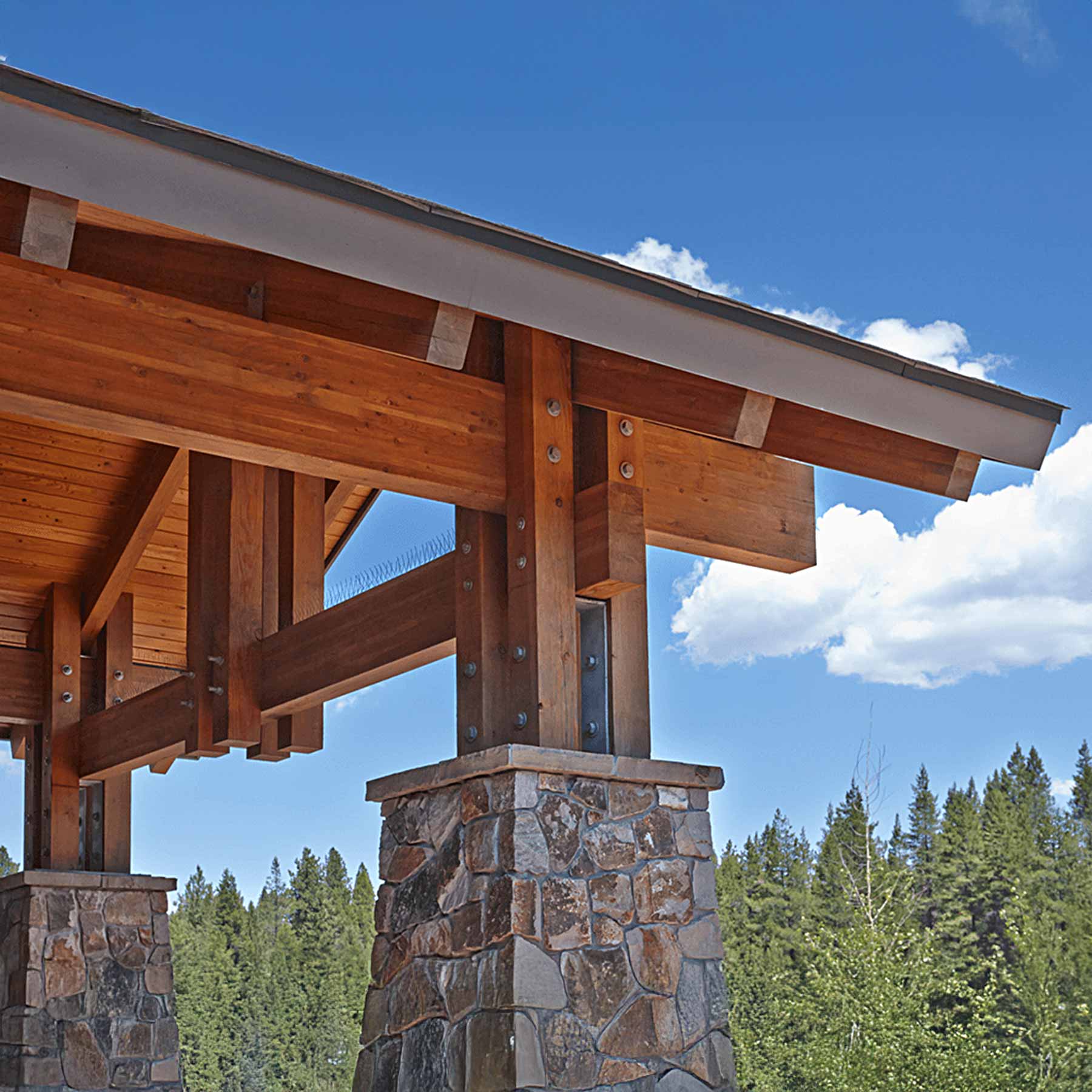 CLT Panels: Mass Timber Solutions for Residential and Multifamily Design